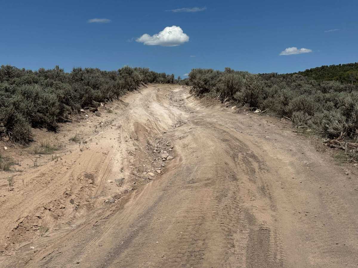 BLM 8470 photo 5