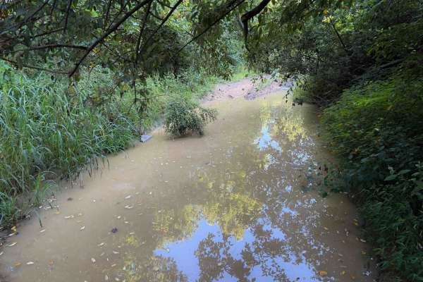 Overlook Trail 36
