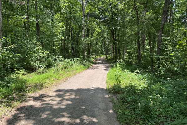 County Road 6291