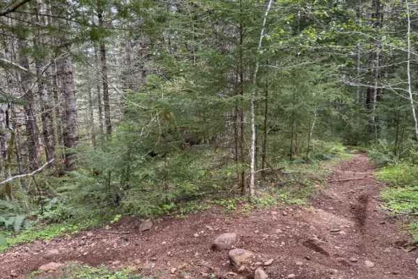 Ginger Creek Access Loop