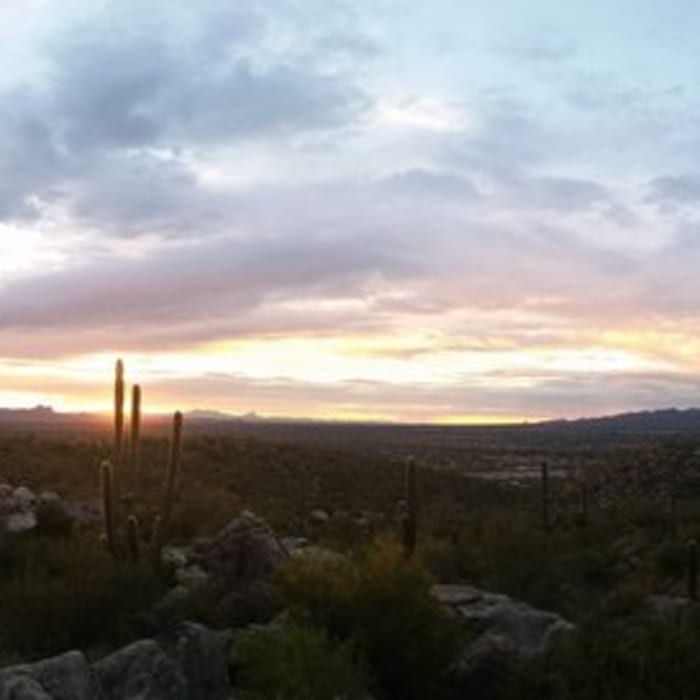Near Linda Vista Loop Trail