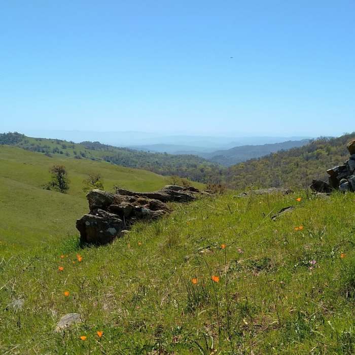 Near Antler Point Trail
