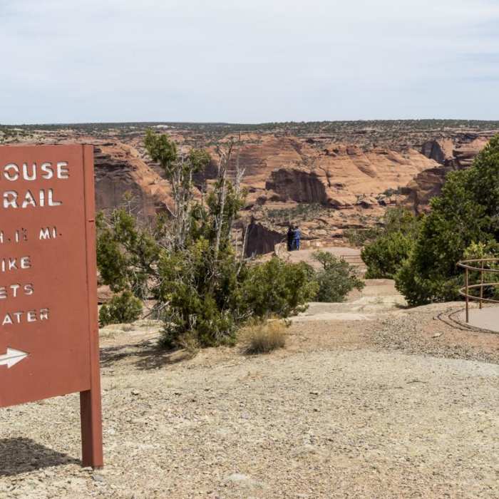 Near White House Ruins Trail