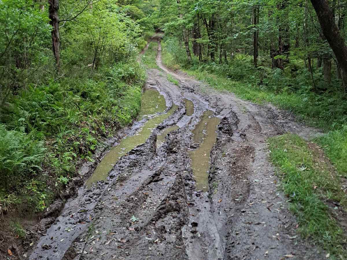 Grantham Mountain Road trail photo