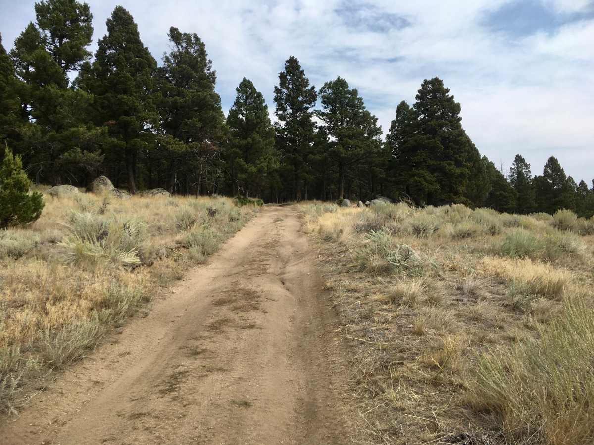 North Fork Trail photo 3