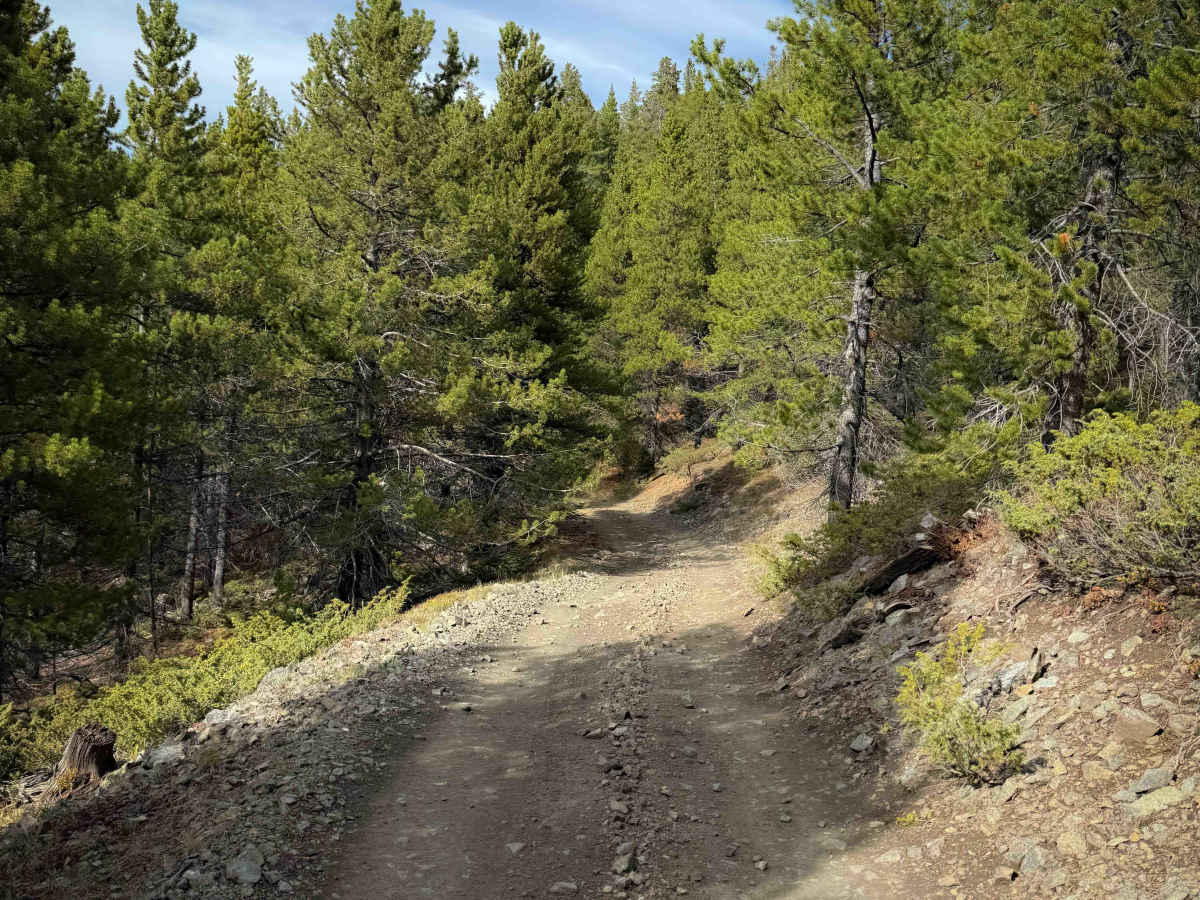 Bald Mountain Trail - FS 644  photo 6