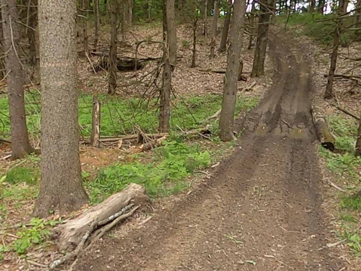 Lewis County Area A - Blue Trail photo 2