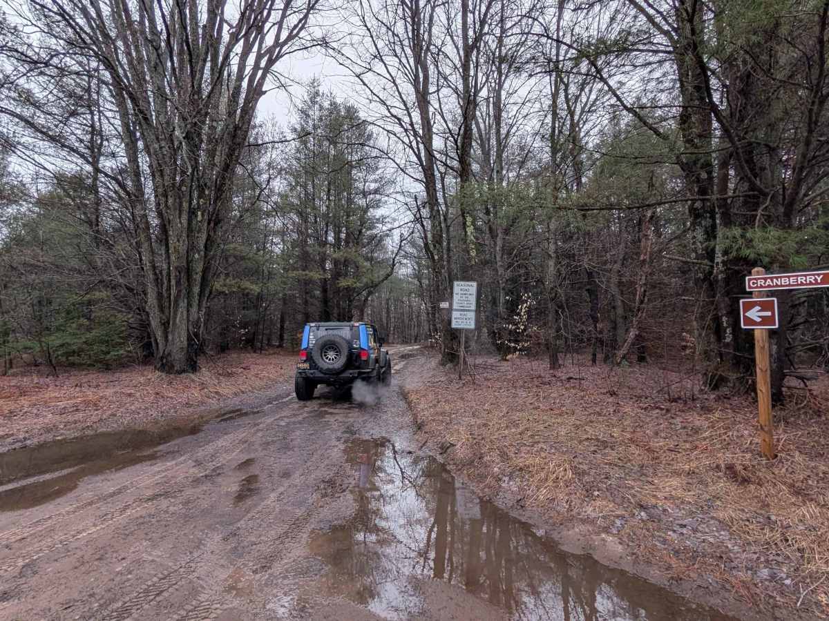 Cranberry Lake Rd trail photo