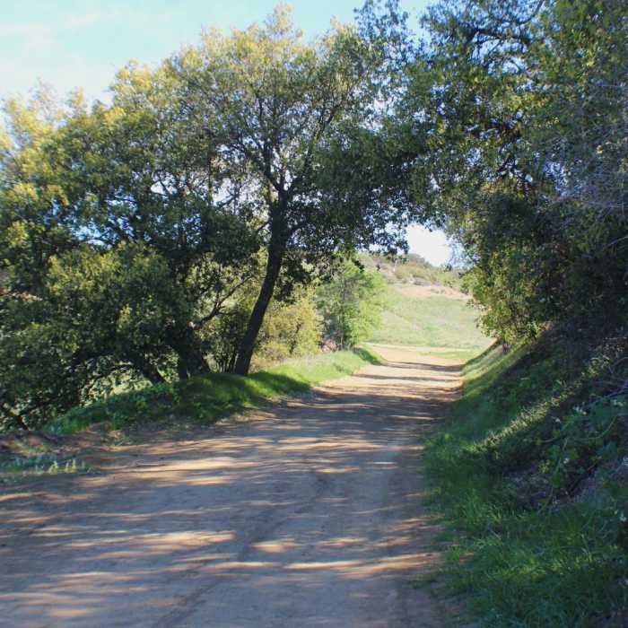 Near Santa Ynez Canyon Trail to Eagle Rock