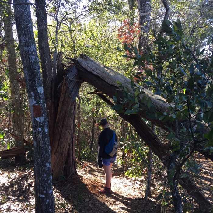 Near Garden of Eden Trail