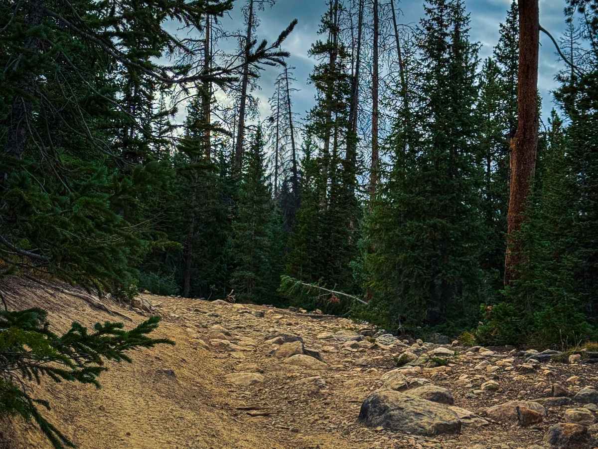 Echo Lake Trail photo 2