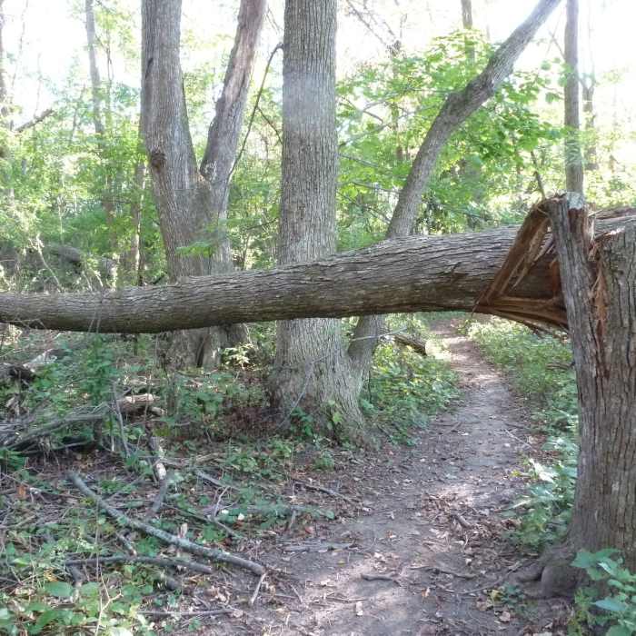 Near Nature's Way Trail