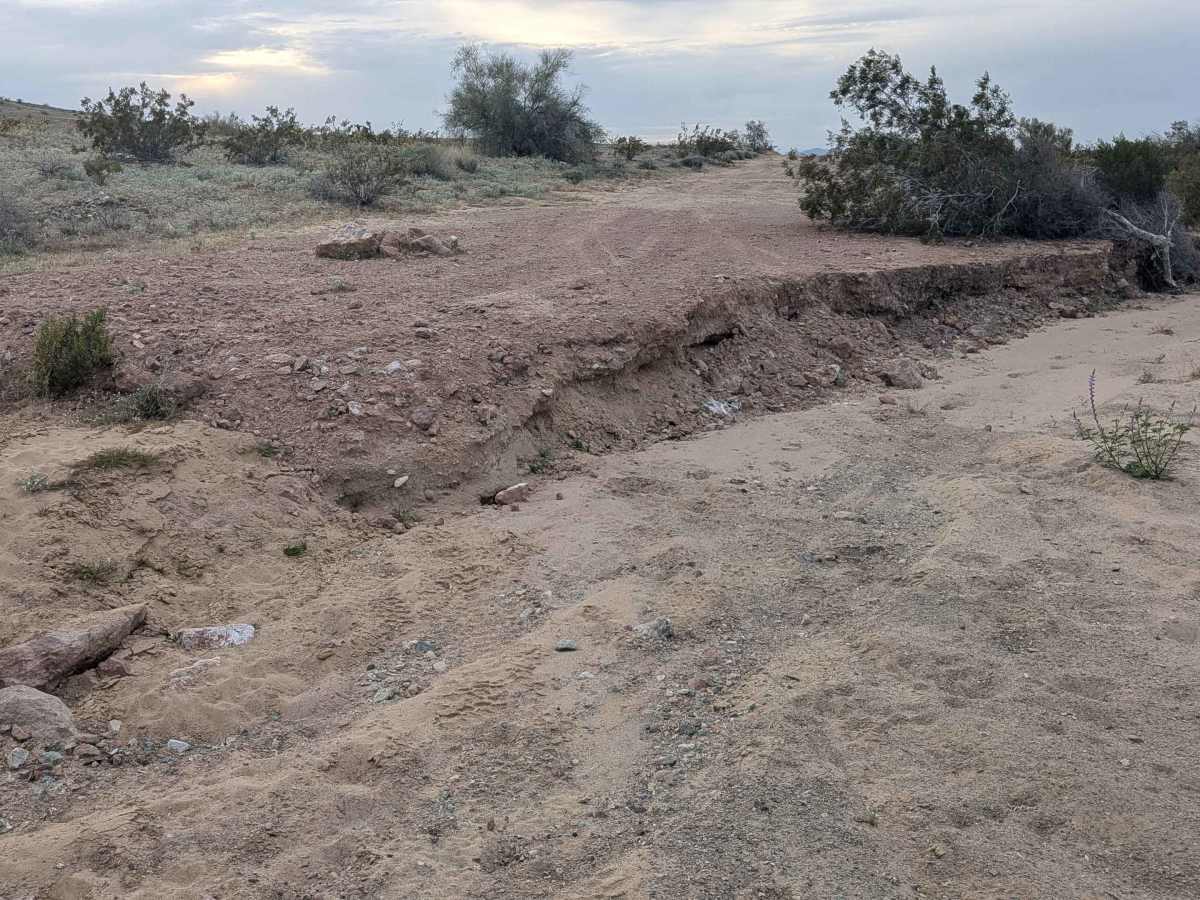 Trigo Wash EC1209 photo 2