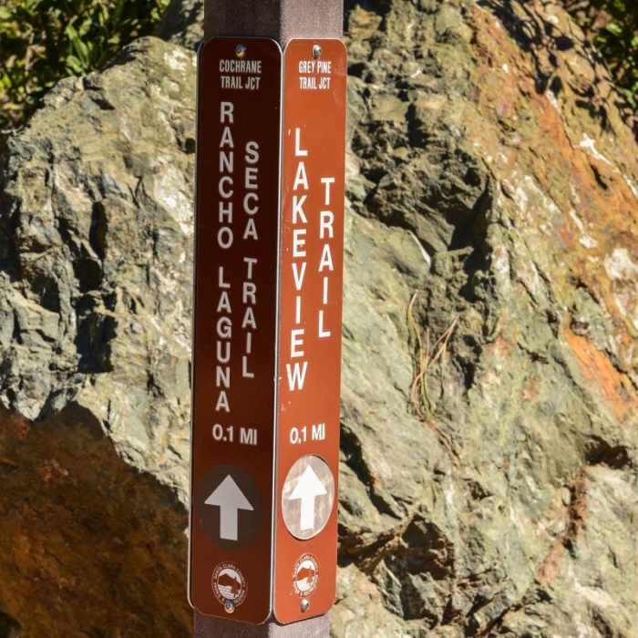 Near Lakeview + Grey Pines Loop, Rosendin Park