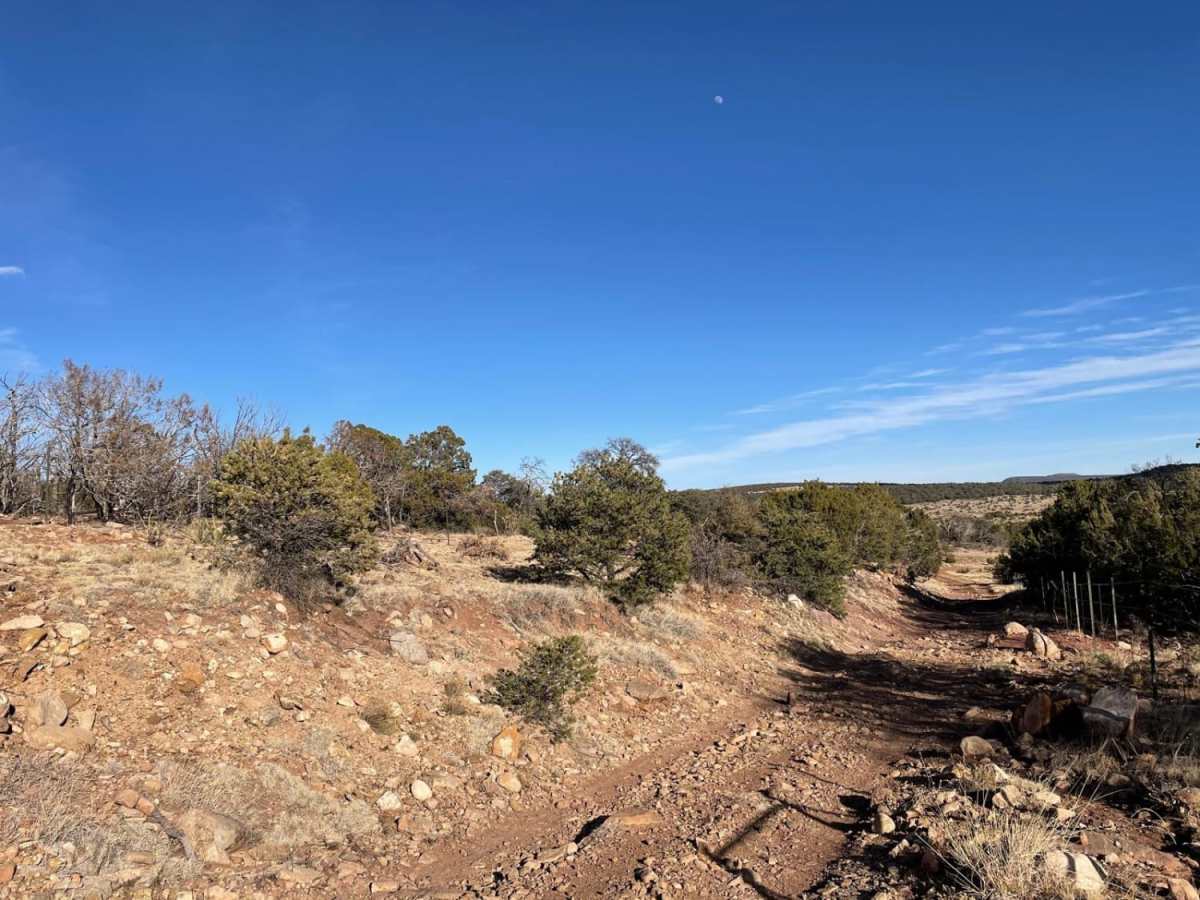 Coyote Canyon trail photo
