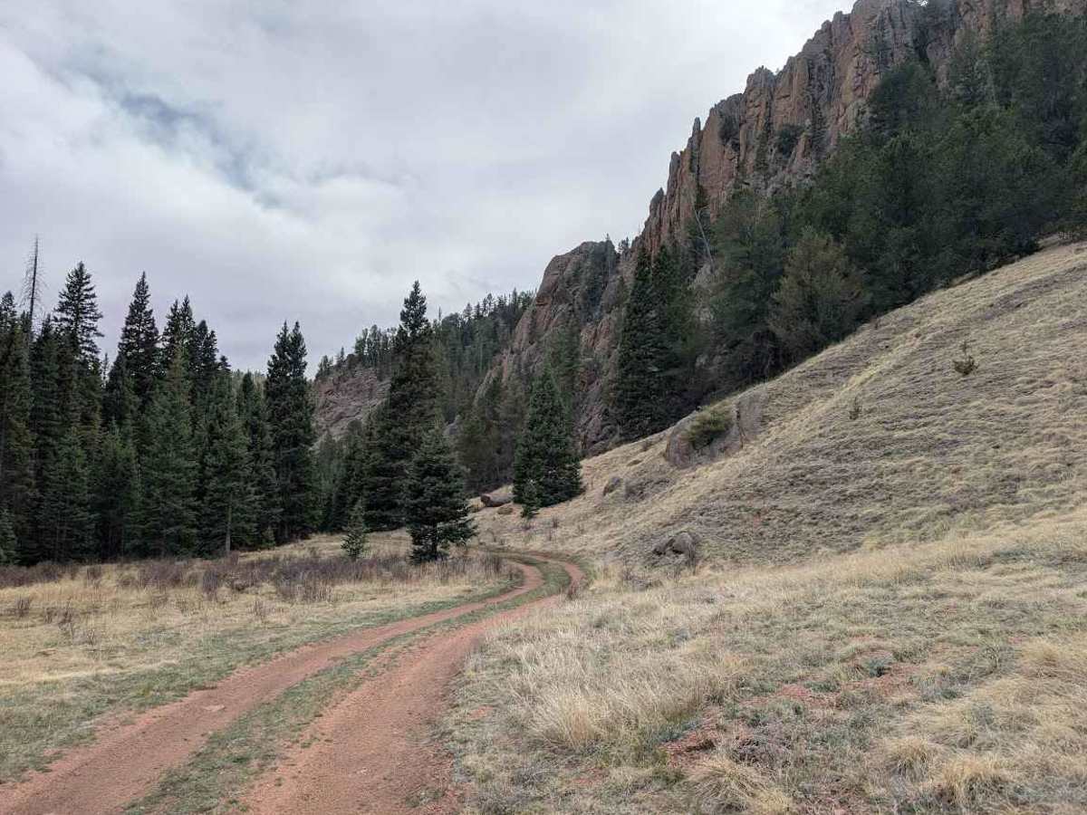 Gould Creek Road photo 6