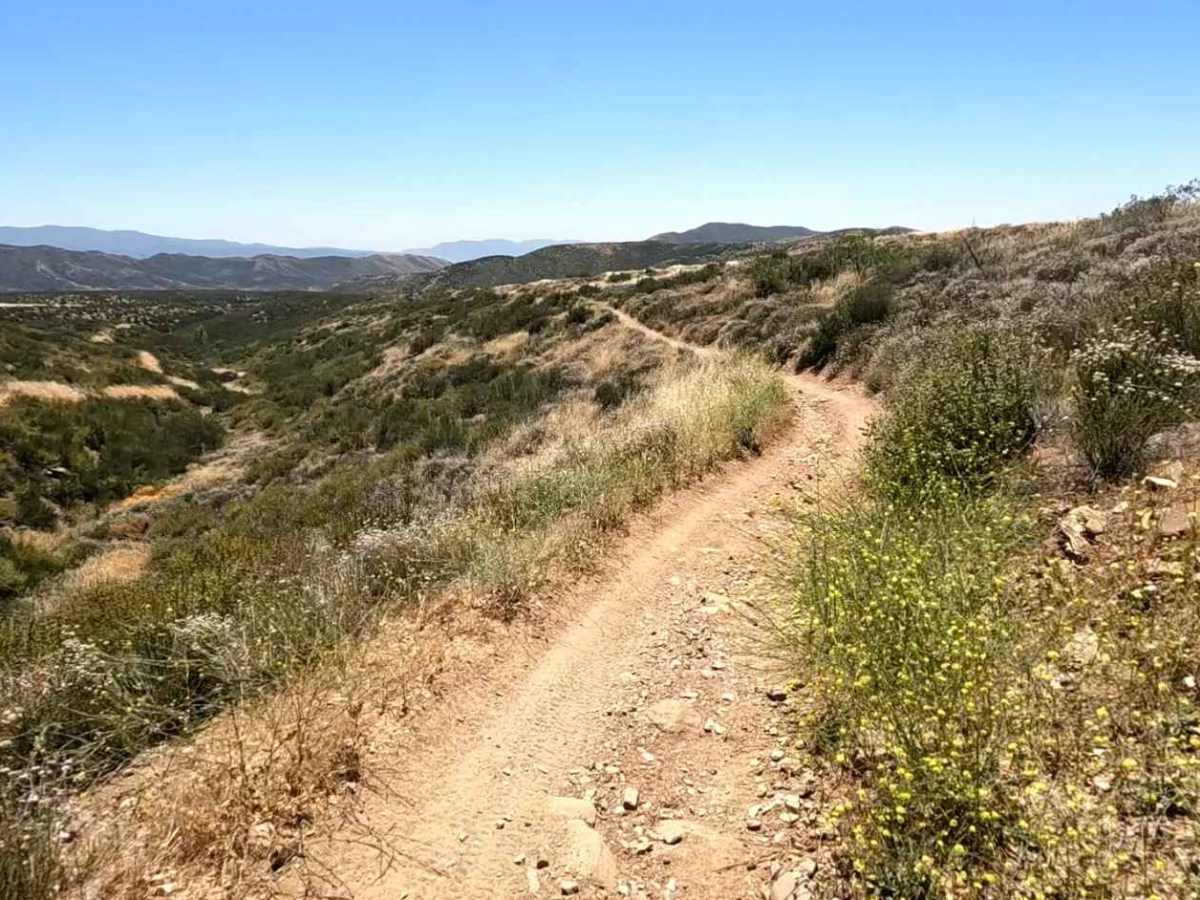 Arc OHV Trail photo 3