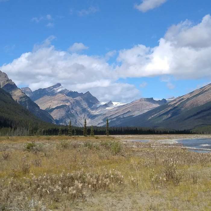 Near Moose River Route: Moose River to Resplendent Crossing