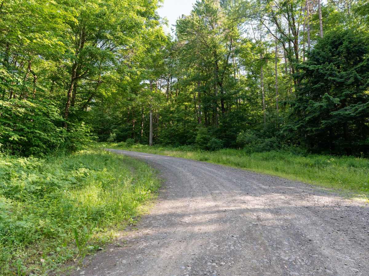 Truck Trail 1 trail photo