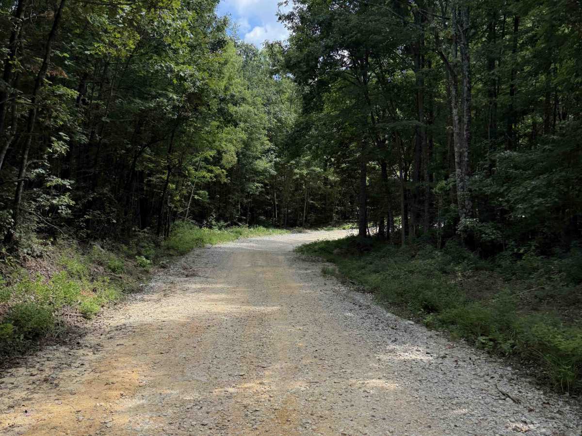 Cumberland Mountain Trail photo 3