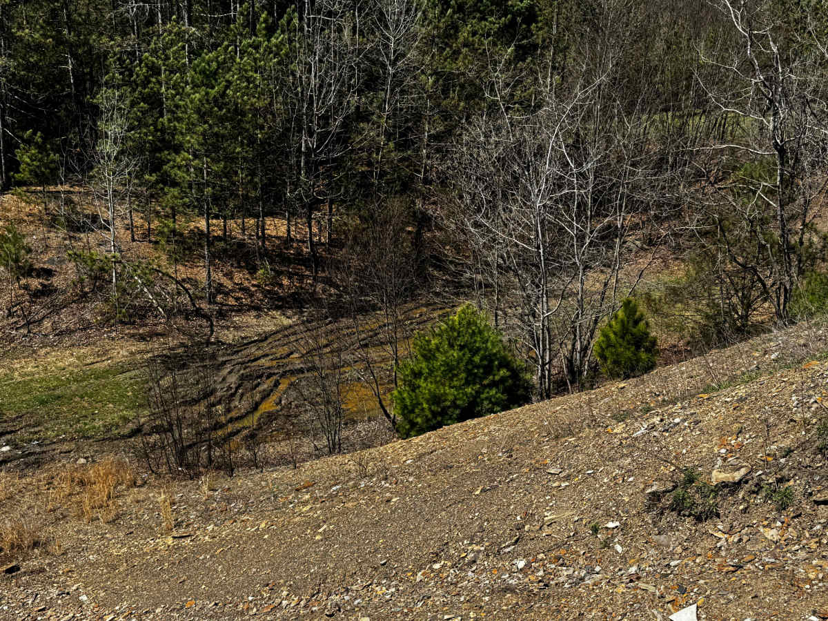 Logway Run Hill Climb Trail photo 4