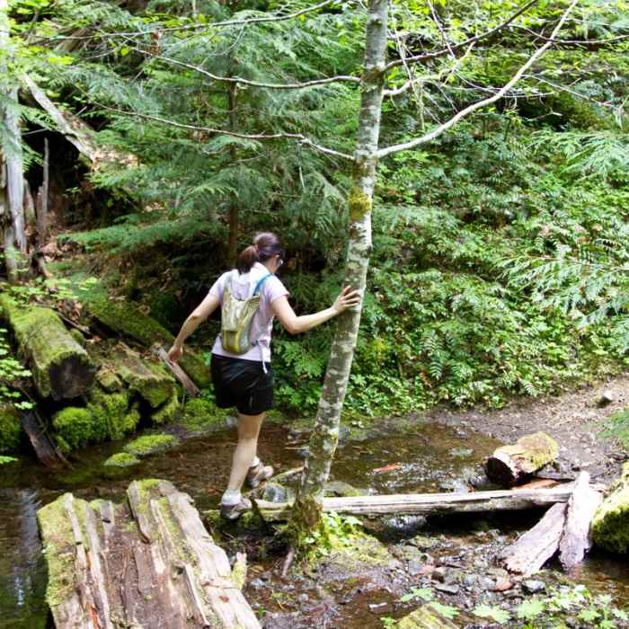 Near South Breitenbush Gorge National Recreation Trail