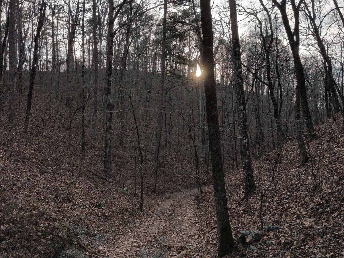 A26 Sardine Ravine trail photo