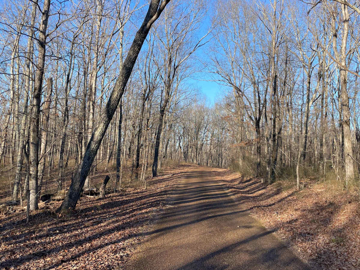 Laurel Hill Road trail photo
