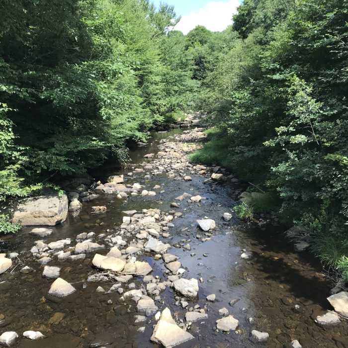 Near Laurel Run Trail