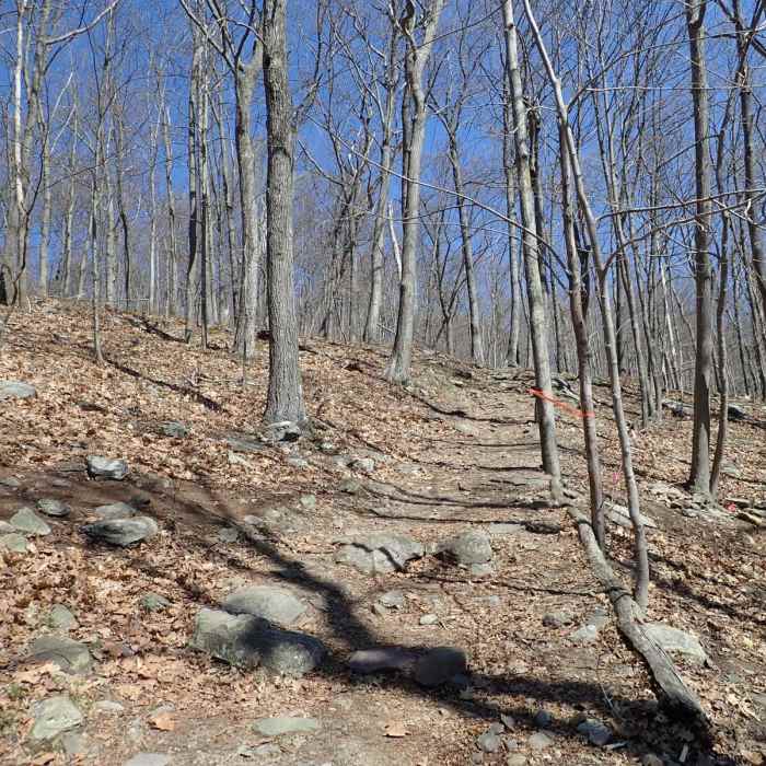 Near West Ridge Loop