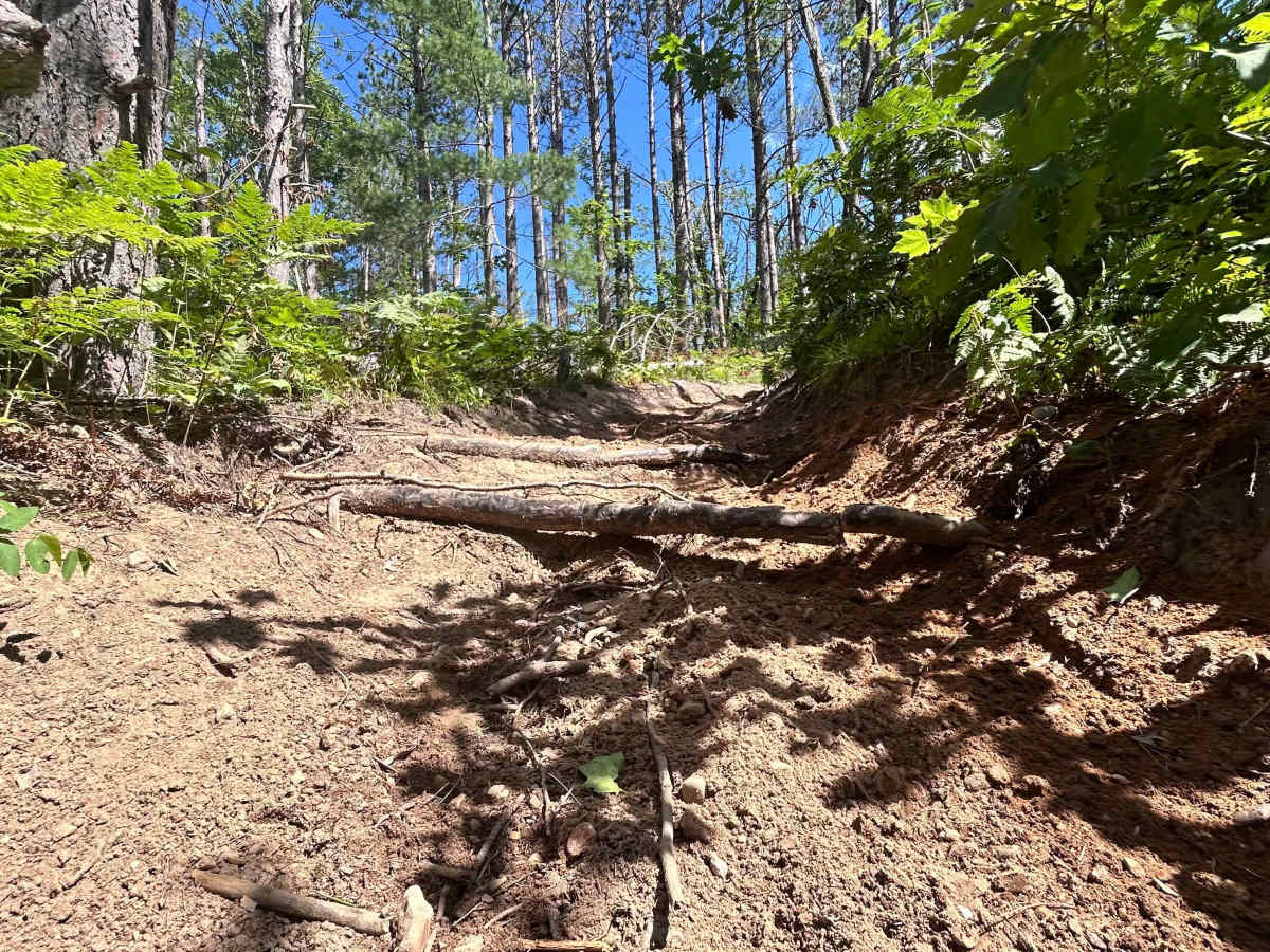 Big Bear Connector  trail photo