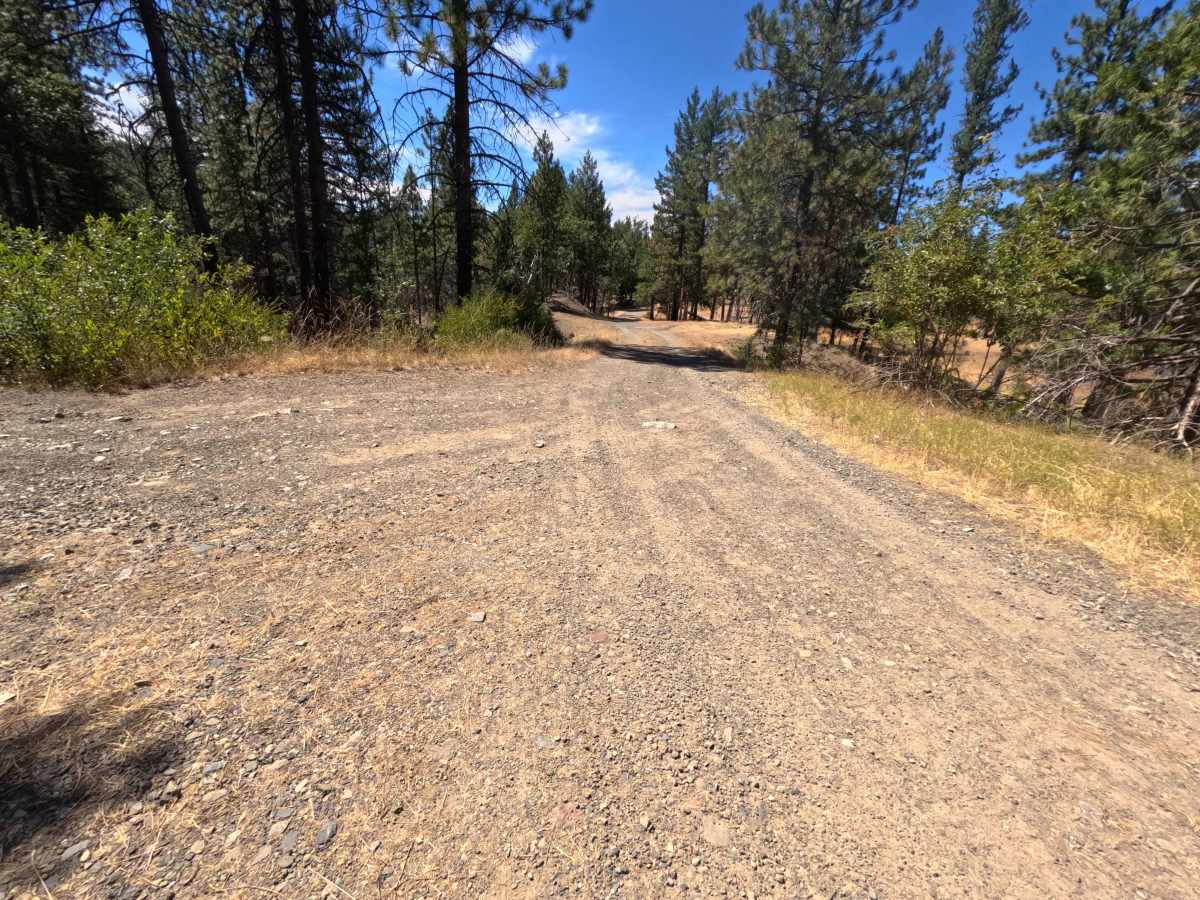 Howard Corral - FS 23N38 photo 4