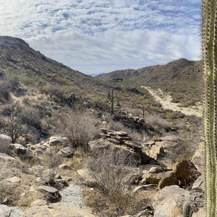 Near Wild Burro Trail