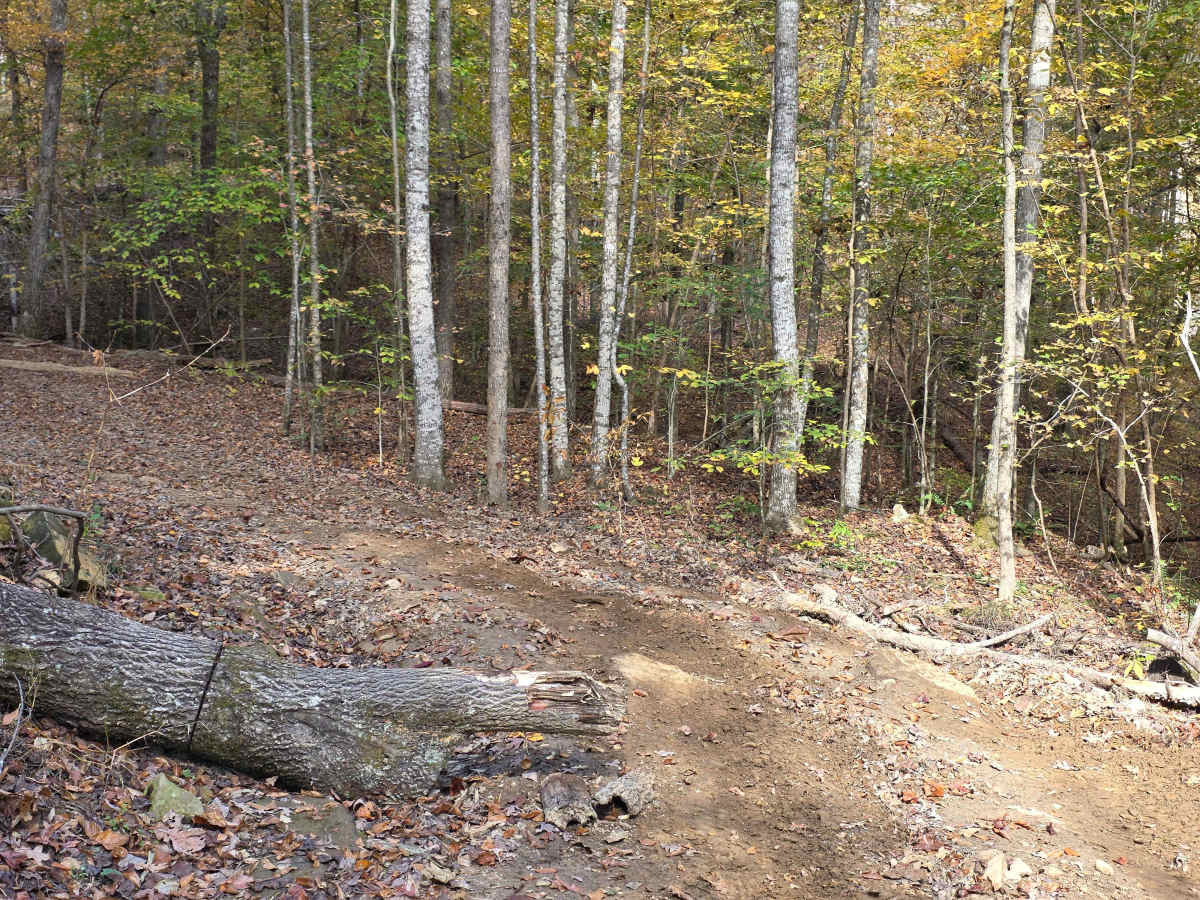 Round the Mountain photo 2