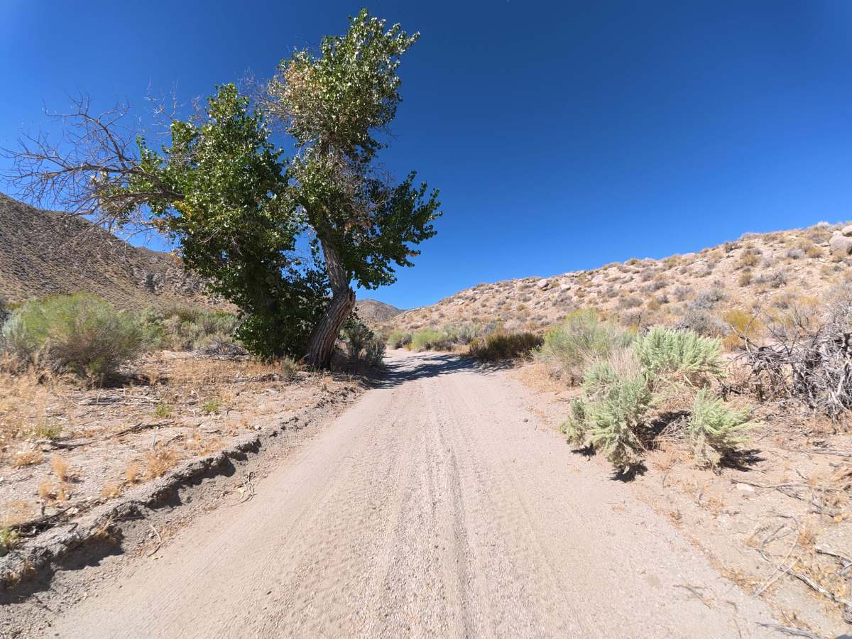 Cottonwood Creek Road photo 2