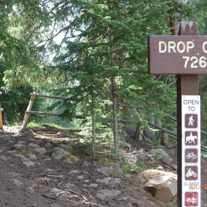 Near Crane Lake Trail