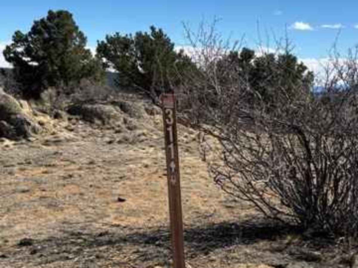 Sevenmile Creek Road photo 5
