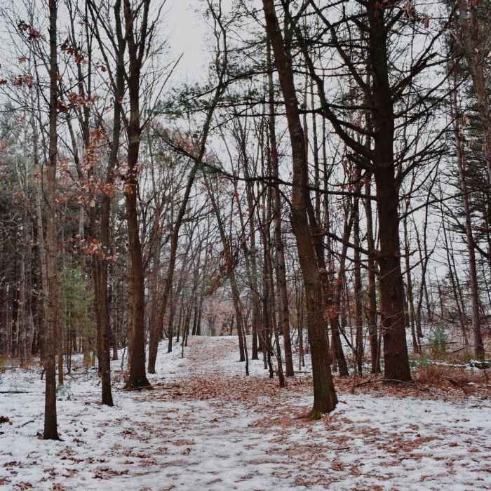 Near Provin Loop Hike