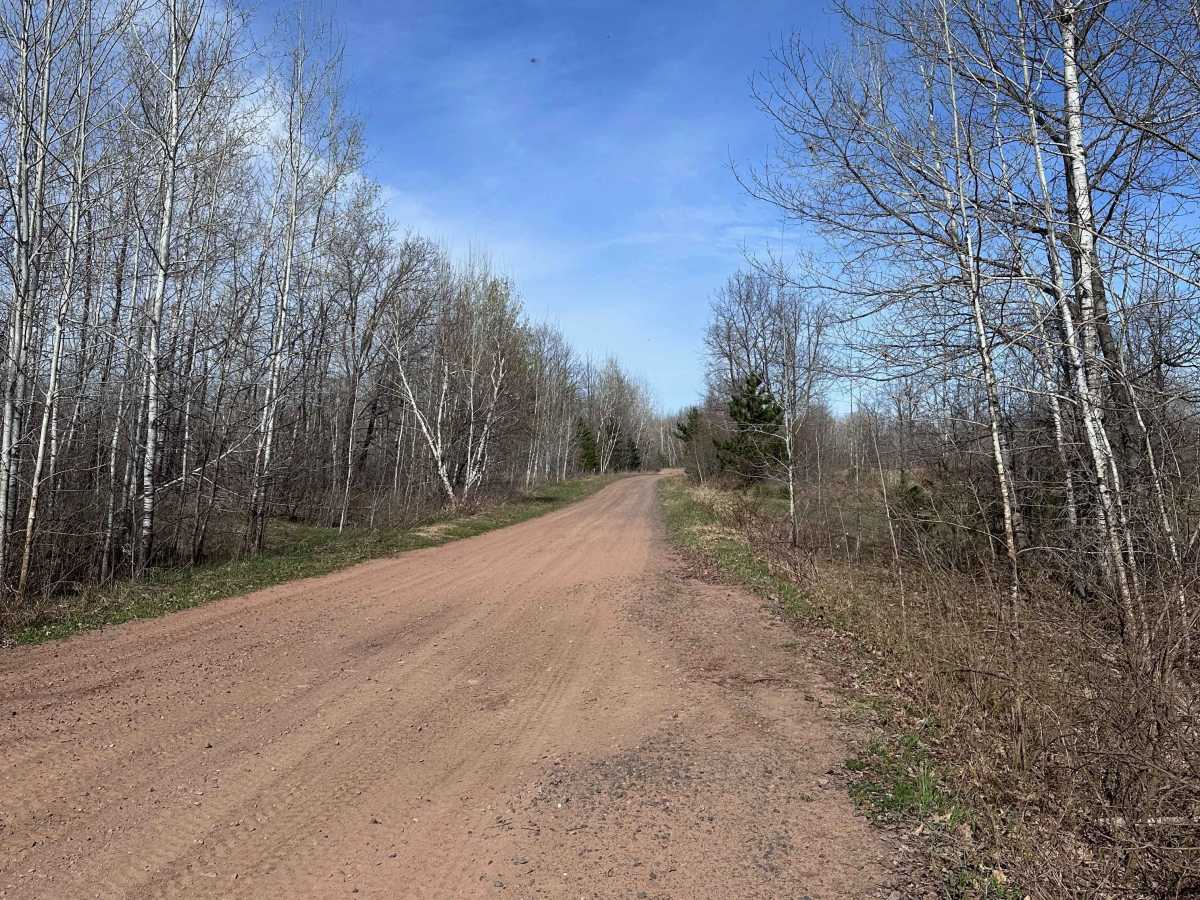 East Arm Forest Road photo 3