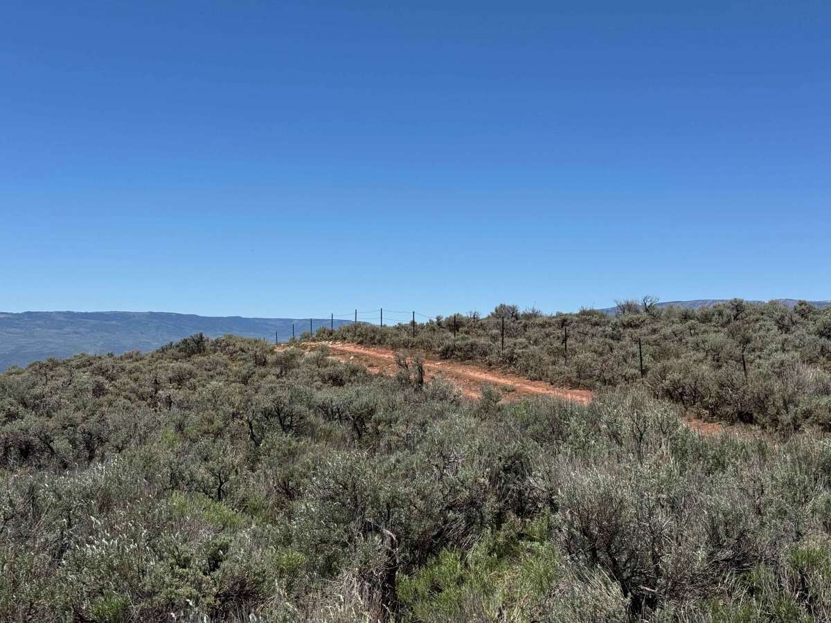 BLM 8485B photo 5