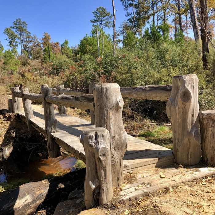 Bridge on Pine Warbler Trail ( Black Trail ) Near Bastrop State Park: Scenic Overlook Trail & Lost Pines Loop