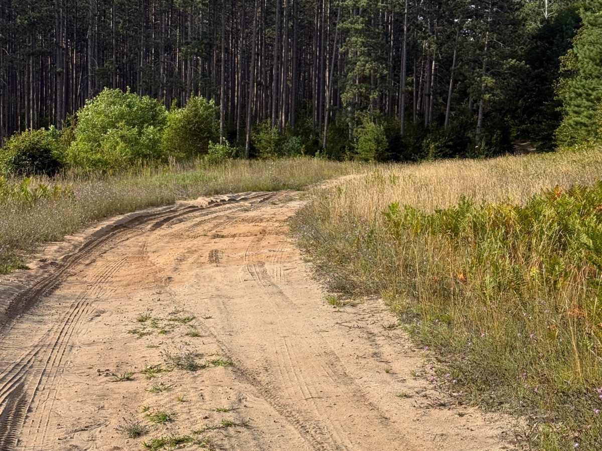 Pine Ridge Trail trail photo