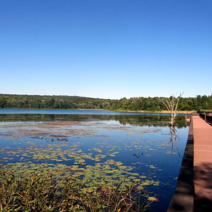 Pickerel Lake Park - Fred Meijer Nature Preserve" by Rachel Kramer (https://tinyurl.com/tgvrh5p), Flickr licensed under CC BY 2.0 (https://creativecommons.org/licenses/by/2.0/) Near Pickerel Lake Loop