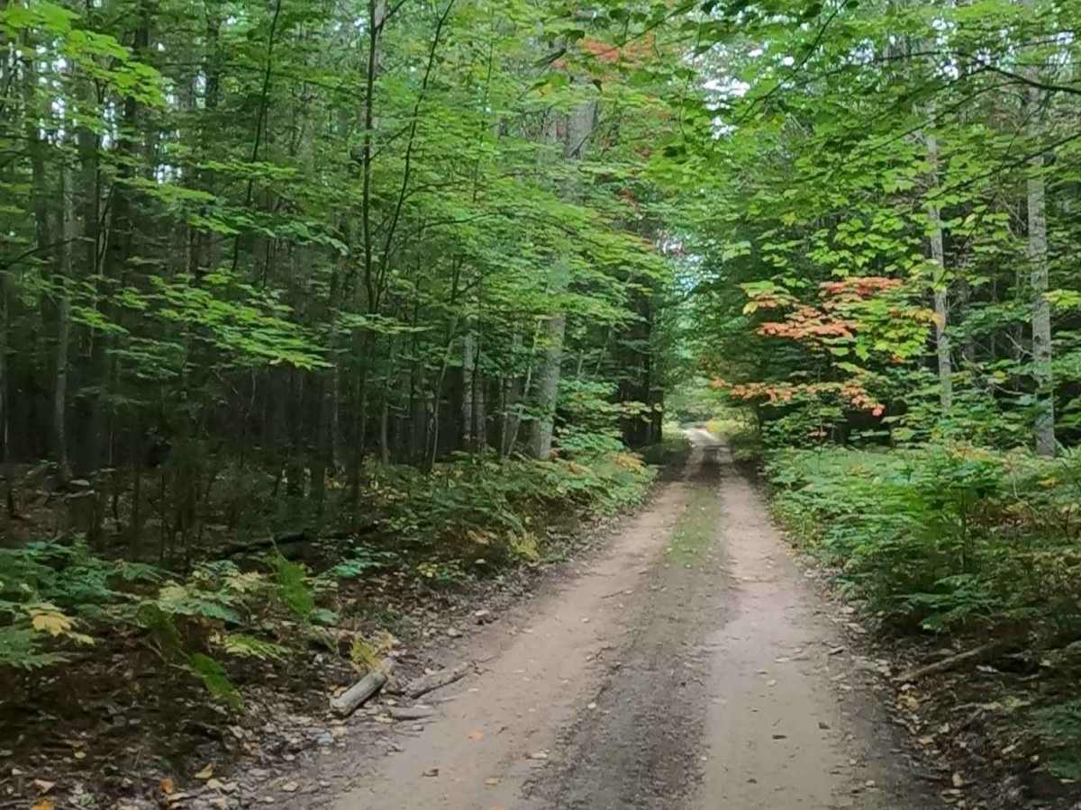 Strickler Truck Road trail photo
