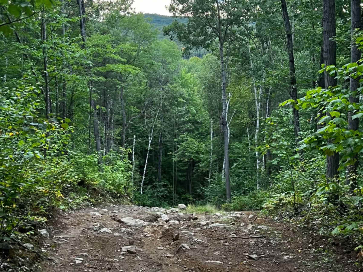 Crooked Slide photo 5
