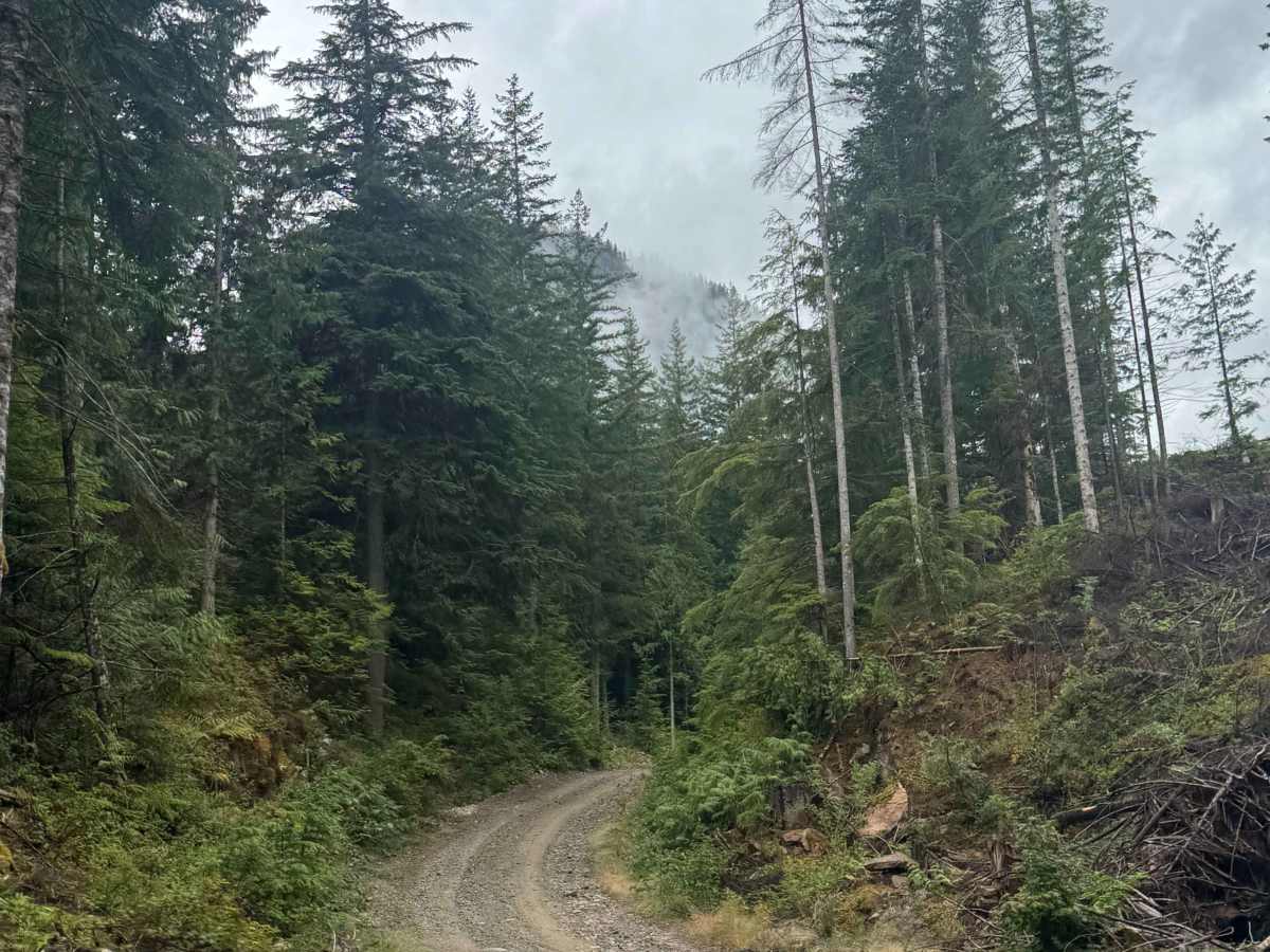 Upper Chehalis - SK 100 photo 2