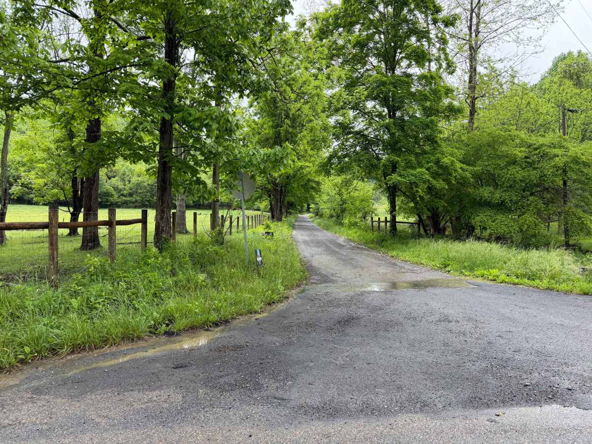 Comers Creek Road - FS 650 trail photo