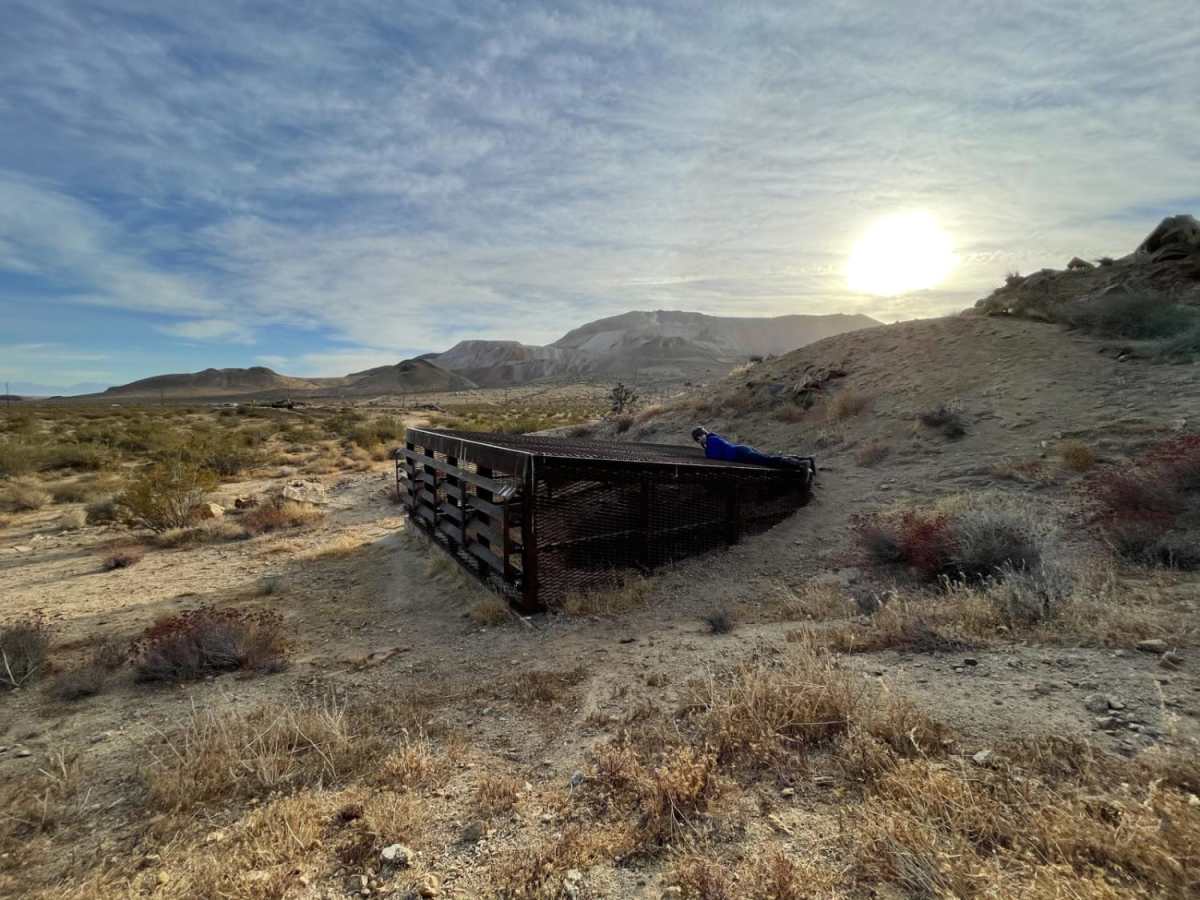 Whitmore Gold Mines photo 4