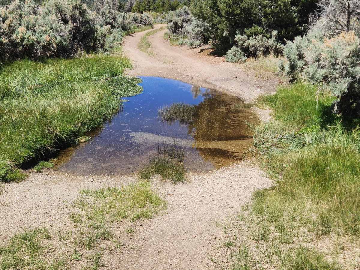 Pine Nut Valley Road - BLM P-14 photo 3