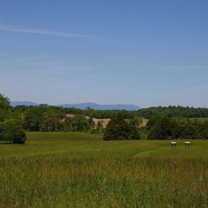View from Buford's Knoll looking west. Near Buford's Knoll Interpretative Trail